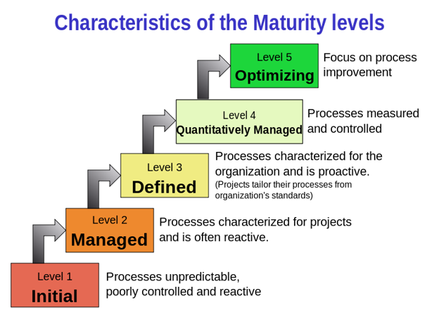 Characteristics of the Maturity levels